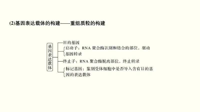 第十五单元现代生物科技专题（教案）_新高考复习资料_2022年新高考复习资料_2022届一轮复习讲练结合7.13更新_系列一_第十五单元现代生物科技专题