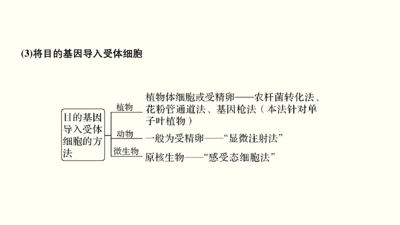 第十五单元现代生物科技专题（教案）_新高考复习资料_2022年新高考复习资料_2022届一轮复习讲练结合7.13更新_系列一_第十五单元现代生物科技专题