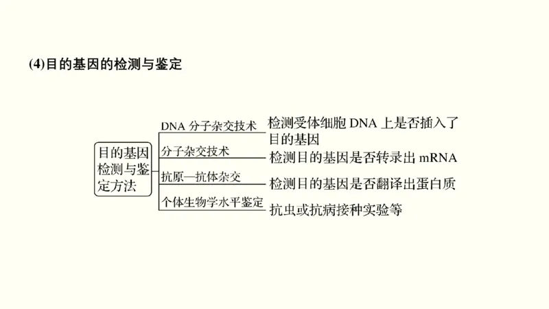 第十五单元现代生物科技专题（教案）_新高考复习资料_2022年新高考复习资料_2022届一轮复习讲练结合7.13更新_系列一_第十五单元现代生物科技专题
