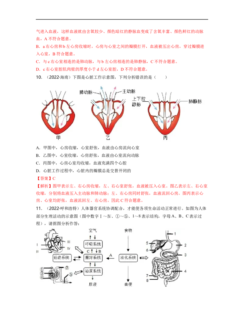 专题04生物圈中的人（二）背诵清单+跟踪训练（教师版）_6生物中考复习_2023年中考复习资料_一轮复习_2023年中考生物一轮大单元复习过过过（全国通用）