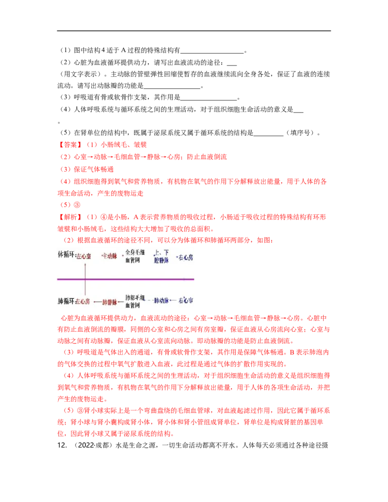 专题04生物圈中的人（二）背诵清单+跟踪训练（教师版）_6生物中考复习_2023年中考复习资料_一轮复习_2023年中考生物一轮大单元复习过过过（全国通用）