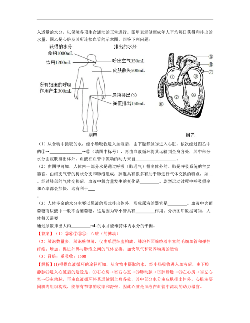 专题04生物圈中的人（二）背诵清单+跟踪训练（教师版）_6生物中考复习_2023年中考复习资料_一轮复习_2023年中考生物一轮大单元复习过过过（全国通用）