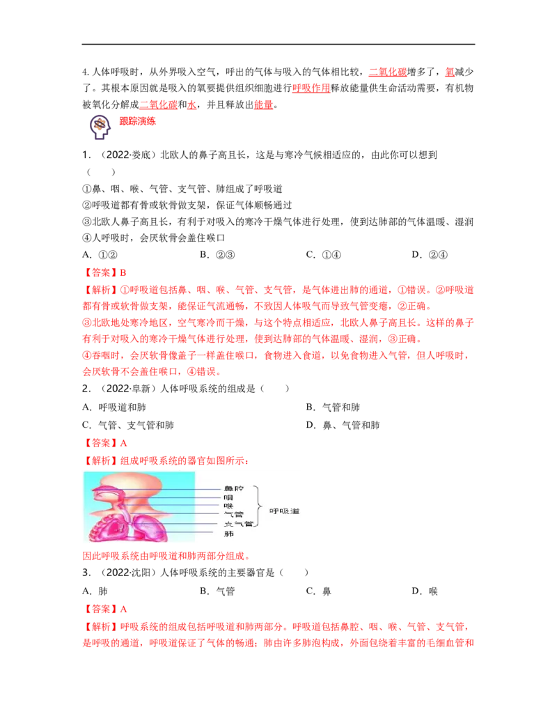 专题04生物圈中的人（二）背诵清单+跟踪训练（教师版）_6生物中考复习_2023年中考复习资料_一轮复习_2023年中考生物一轮大单元复习过过过（全国通用）