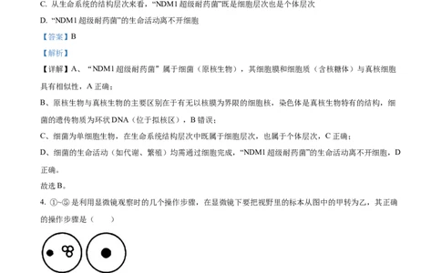 精品解析：四川省眉山市仁寿县第一中学校南校区2025-2026学年高一上学期9月月考生物试题（解析版）_2025年10月高一试卷