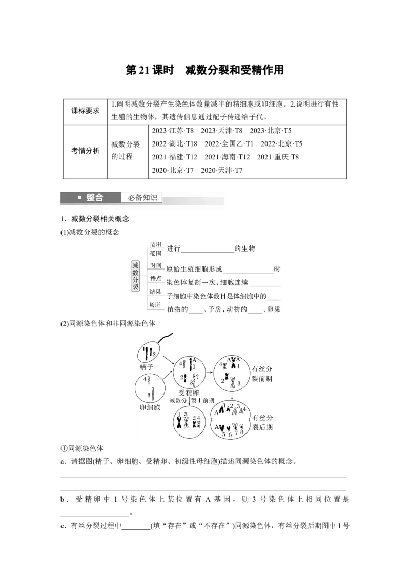第四单元　第21课时　减数分裂和受精作用_2025年新高考资料_一轮复习_2025大一轮复习讲义+课件（完结）_2025大一轮复习讲义生物学生用书Word版文档整书_2025大一轮复习讲义