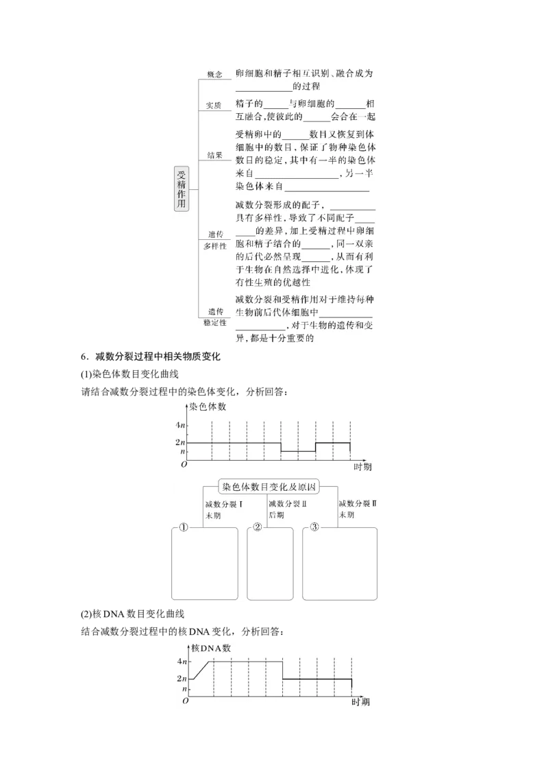 第四单元　第21课时　减数分裂和受精作用_2025年新高考资料_一轮复习_2025大一轮复习讲义+课件（完结）_2025大一轮复习讲义生物学生用书Word版文档整书_2025大一轮复习讲义