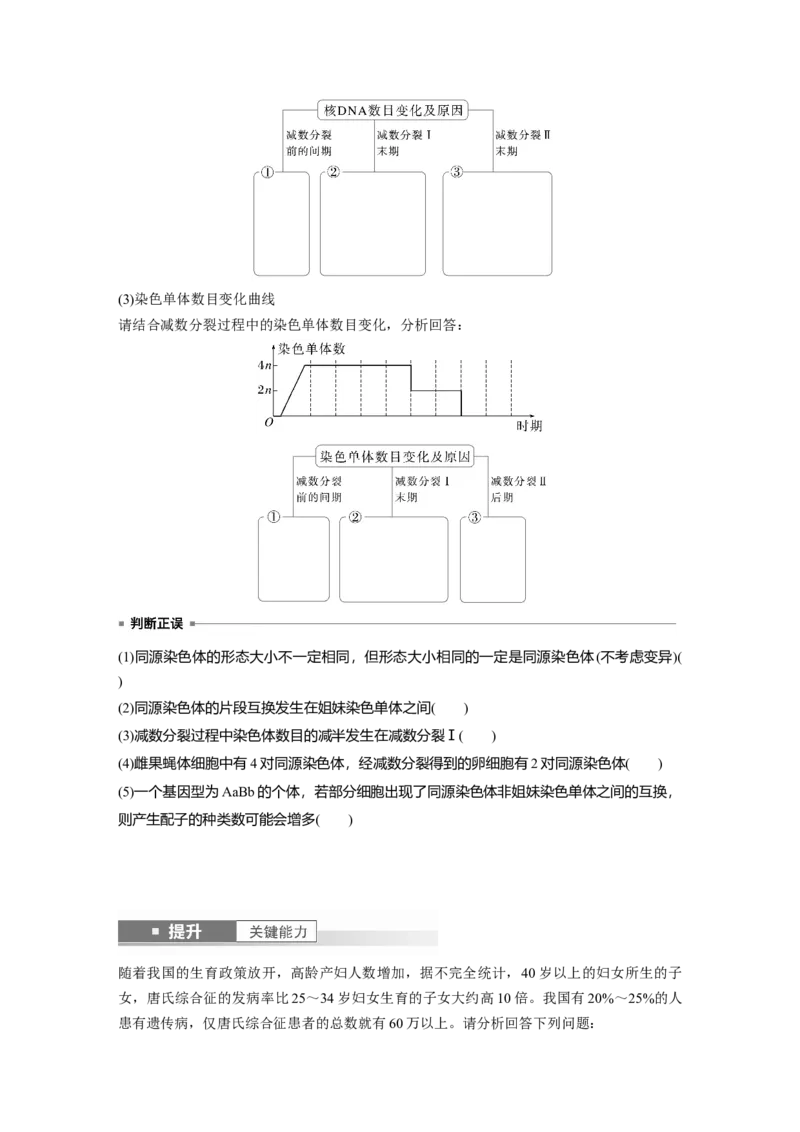 第四单元　第21课时　减数分裂和受精作用_2025年新高考资料_一轮复习_2025大一轮复习讲义+课件（完结）_2025大一轮复习讲义生物学生用书Word版文档整书_2025大一轮复习讲义