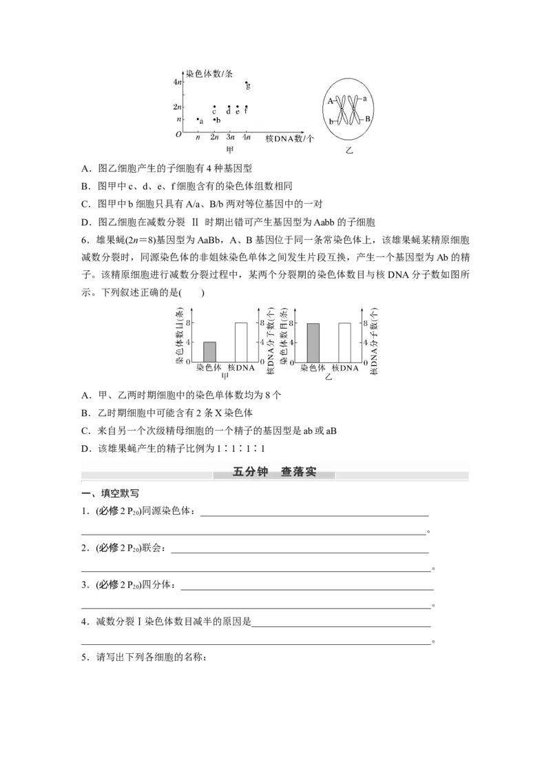 第四单元　第21课时　减数分裂和受精作用_2025年新高考资料_一轮复习_2025大一轮复习讲义+课件（完结）_2025大一轮复习讲义生物学生用书Word版文档整书_2025大一轮复习讲义