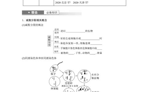 第四单元　第21课时　减数分裂和受精作用_2025年新高考资料_一轮复习_2025大一轮复习讲义+课件（完结）_2025大一轮复习讲义生物学生用书Word版文档整书_2025大一轮复习讲义
