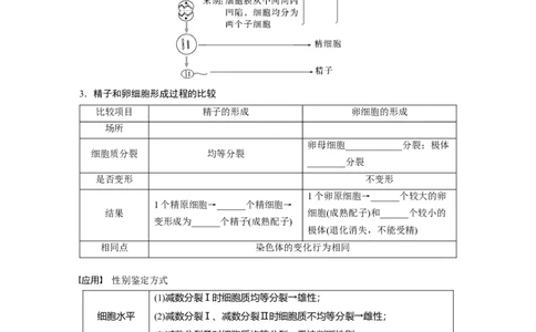 第四单元　第21课时　减数分裂和受精作用_2025年新高考资料_一轮复习_2025大一轮复习讲义+课件（完结）_2025大一轮复习讲义生物学生用书Word版文档整书_2025大一轮复习讲义