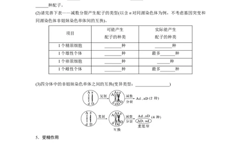 第四单元　第21课时　减数分裂和受精作用_2025年新高考资料_一轮复习_2025大一轮复习讲义+课件（完结）_2025大一轮复习讲义生物学生用书Word版文档整书_2025大一轮复习讲义