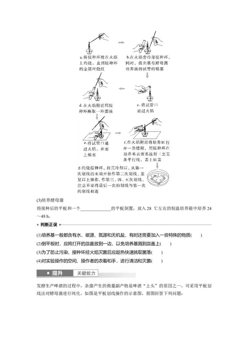 第十单元　第57课时　微生物的培养技术与应用_2025年新高考资料_一轮复习_2025大一轮复习讲义+课件（完结）_2025大一轮复习讲义生物学生用书Word版文档整书_2025大一轮复习讲义