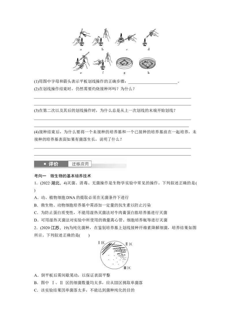 第十单元　第57课时　微生物的培养技术与应用_2025年新高考资料_一轮复习_2025大一轮复习讲义+课件（完结）_2025大一轮复习讲义生物学生用书Word版文档整书_2025大一轮复习讲义