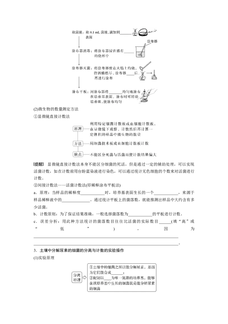 第十单元　第57课时　微生物的培养技术与应用_2025年新高考资料_一轮复习_2025大一轮复习讲义+课件（完结）_2025大一轮复习讲义生物学生用书Word版文档整书_2025大一轮复习讲义