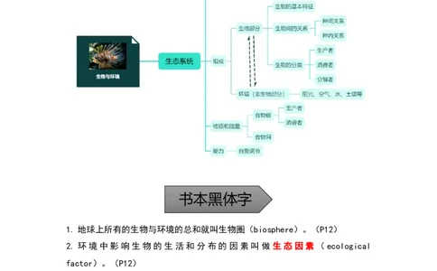 专题01生物与环境-备战2023年中考生物核心考点梳理与必背_6生物中考复习_2023年中考复习资料_专项复习_备战2023年中考生物核心考点梳理与必背