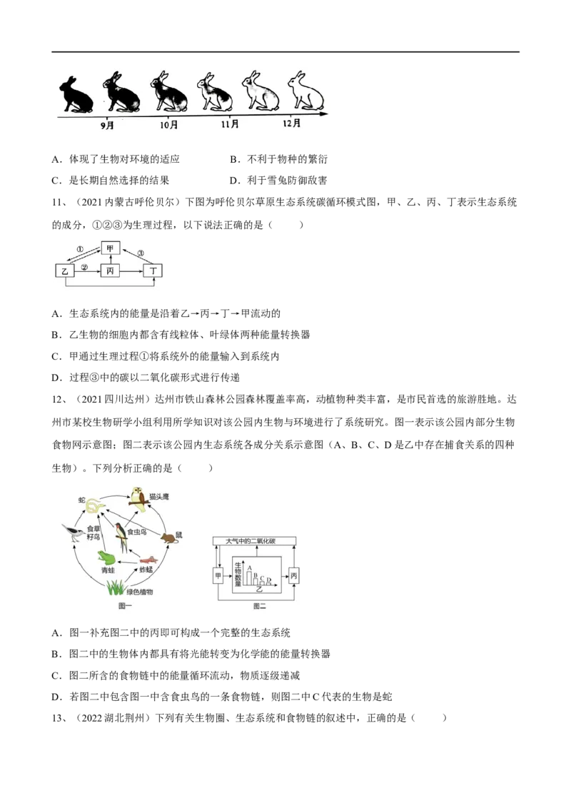 专题01生物与生物圈（原卷版）_6生物中考复习_2023年中考复习资料_一轮复习_2023年中考生物一轮复习讲练测_专题01生物与生物圈（专题精练）-2023年中考生物一轮复习讲练测