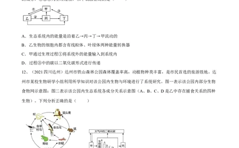 专题01生物与生物圈（原卷版）_6生物中考复习_2023年中考复习资料_一轮复习_2023年中考生物一轮复习讲练测_专题01生物与生物圈（专题精练）-2023年中考生物一轮复习讲练测