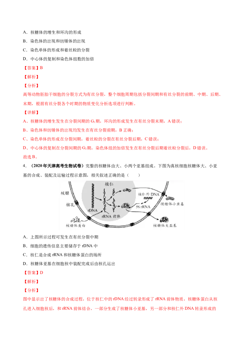 第四单元细胞的生命历程（作业）_新高考复习资料_2022年新高考复习资料_2022届一轮复习讲练结合7.13更新_系列一_第四单元细胞的生命历程