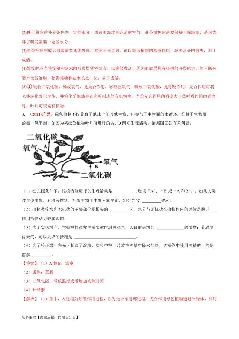专题04&nbsp;绿色植物的蒸腾作用、光合作用和呼吸作用（解析版）_6生物中考复习_2024年中考复习资料_专项复习资料_完三年（2021-2023）中考生物真题分项汇编（全国通用）_答案解析版