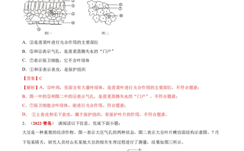 专题04&nbsp;绿色植物的蒸腾作用、光合作用和呼吸作用（解析版）_6生物中考复习_2024年中考复习资料_专项复习资料_完三年（2021-2023）中考生物真题分项汇编（全国通用）_答案解析版
