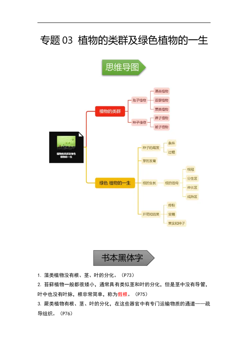 专题03植物的类群及绿色植物的一生-备战2023年中考生物核心考点梳理与必背_6生物中考复习_2023年中考复习资料_专项复习_备战2023年中考生物核心考点梳理与必背