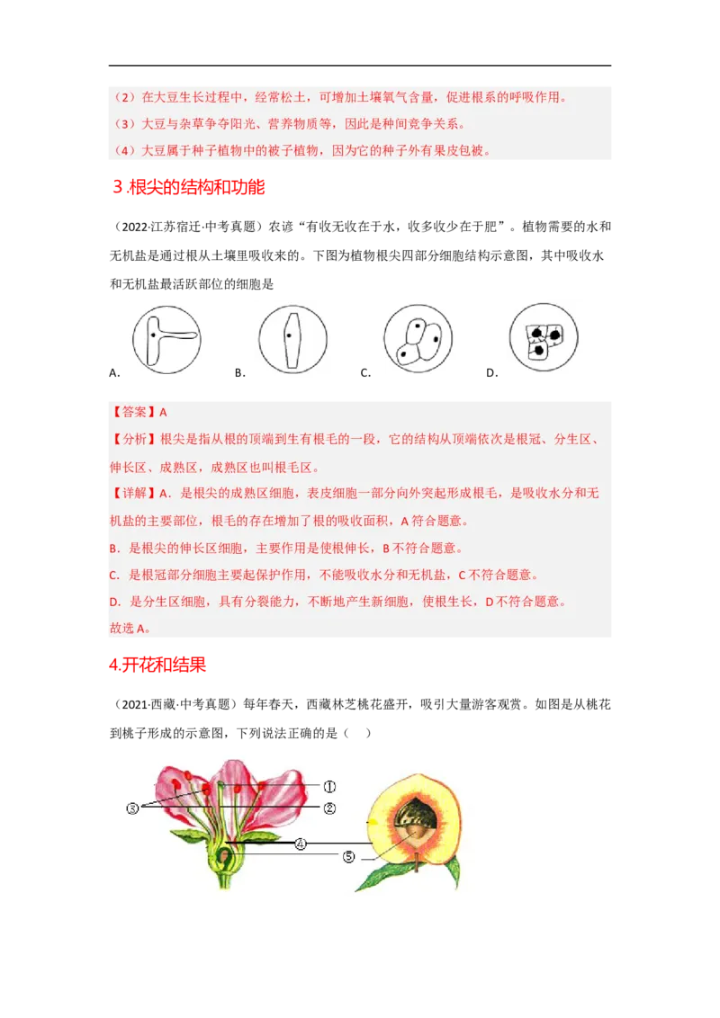 专题03植物的类群及绿色植物的一生-备战2023年中考生物核心考点梳理与必背_6生物中考复习_2023年中考复习资料_专项复习_备战2023年中考生物核心考点梳理与必背