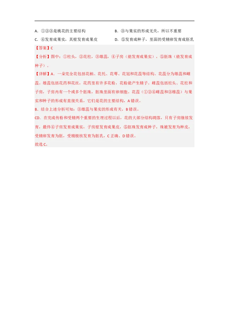 专题03植物的类群及绿色植物的一生-备战2023年中考生物核心考点梳理与必背_6生物中考复习_2023年中考复习资料_专项复习_备战2023年中考生物核心考点梳理与必背