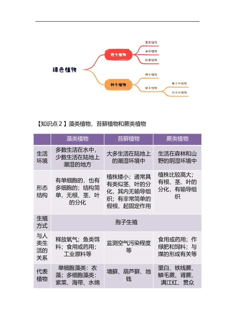 专题03植物的类群及绿色植物的一生-备战2023年中考生物核心考点梳理与必背_6生物中考复习_2023年中考复习资料_专项复习_备战2023年中考生物核心考点梳理与必背