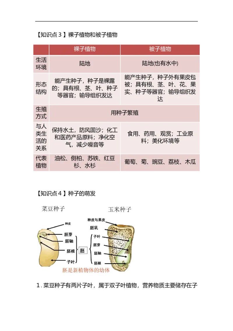 专题03植物的类群及绿色植物的一生-备战2023年中考生物核心考点梳理与必背_6生物中考复习_2023年中考复习资料_专项复习_备战2023年中考生物核心考点梳理与必背