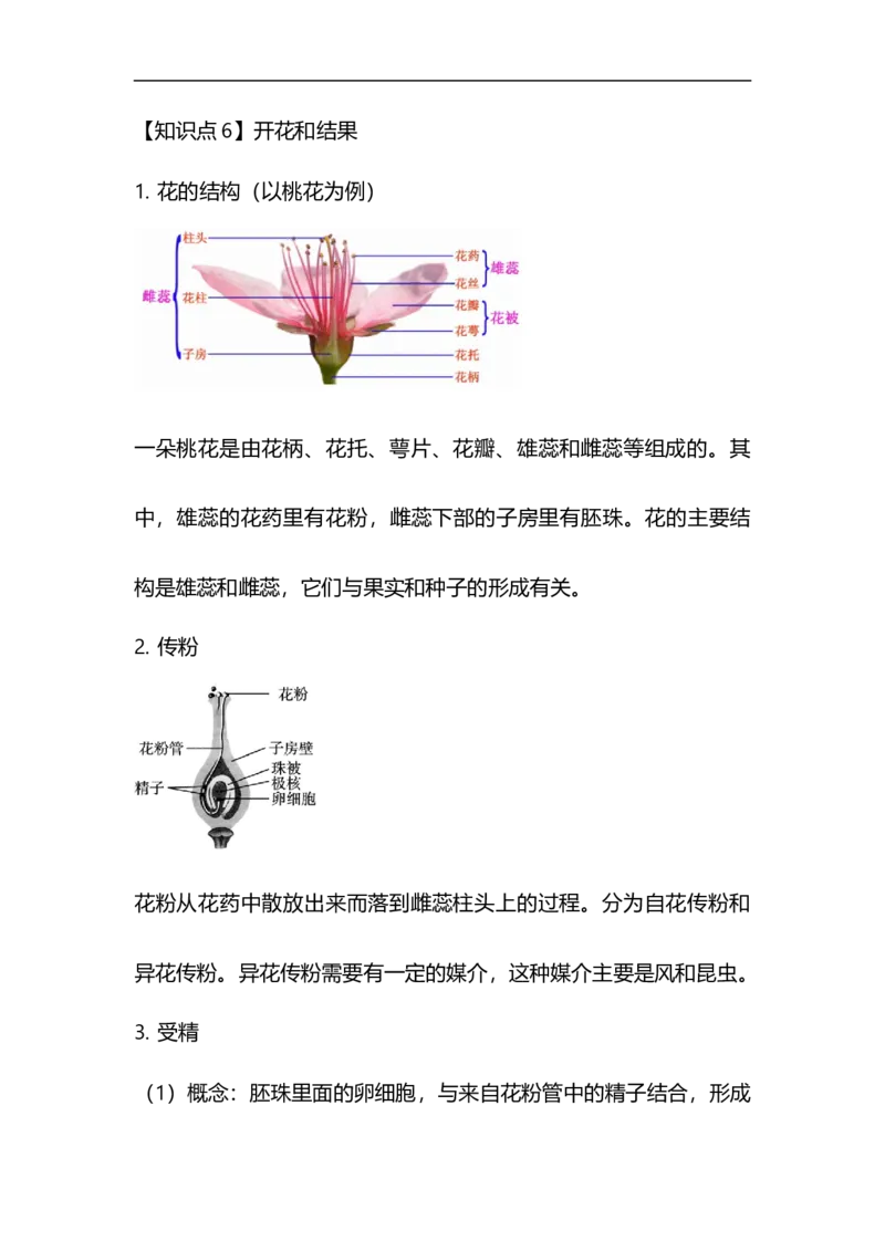 专题03植物的类群及绿色植物的一生-备战2023年中考生物核心考点梳理与必背_6生物中考复习_2023年中考复习资料_专项复习_备战2023年中考生物核心考点梳理与必背