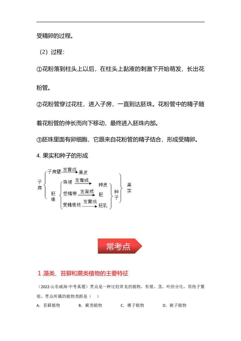 专题03植物的类群及绿色植物的一生-备战2023年中考生物核心考点梳理与必背_6生物中考复习_2023年中考复习资料_专项复习_备战2023年中考生物核心考点梳理与必背