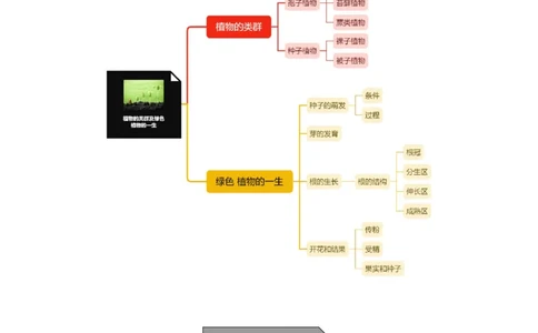 专题03植物的类群及绿色植物的一生-备战2023年中考生物核心考点梳理与必背_6生物中考复习_2023年中考复习资料_专项复习_备战2023年中考生物核心考点梳理与必背