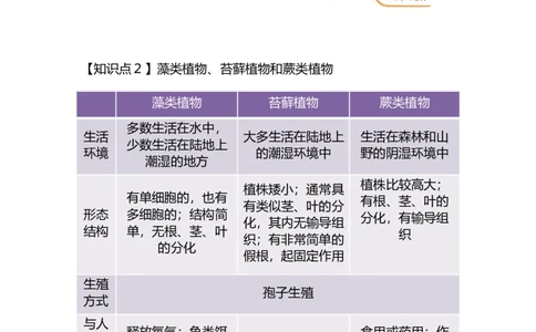 专题03植物的类群及绿色植物的一生-备战2023年中考生物核心考点梳理与必背_6生物中考复习_2023年中考复习资料_专项复习_备战2023年中考生物核心考点梳理与必背