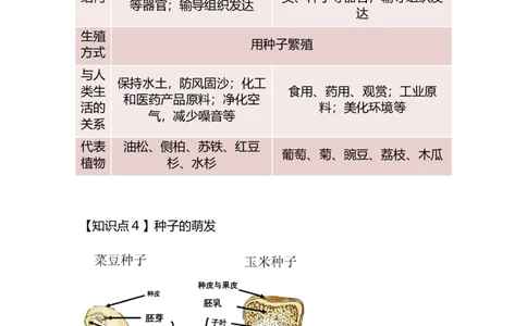 专题03植物的类群及绿色植物的一生-备战2023年中考生物核心考点梳理与必背_6生物中考复习_2023年中考复习资料_专项复习_备战2023年中考生物核心考点梳理与必背