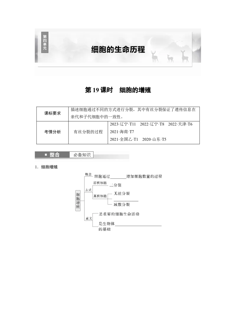 第四单元　第19课时　细胞的增殖_2025年新高考资料_一轮复习_2025大一轮复习讲义+课件（完结）_2025大一轮复习讲义生物学生用书Word版文档整书_2025大一轮复习讲义