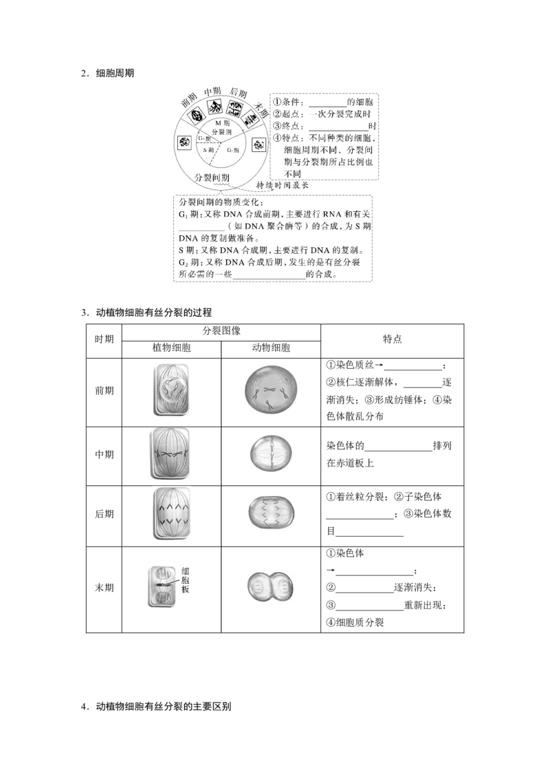 第四单元　第19课时　细胞的增殖_2025年新高考资料_一轮复习_2025大一轮复习讲义+课件（完结）_2025大一轮复习讲义生物学生用书Word版文档整书_2025大一轮复习讲义