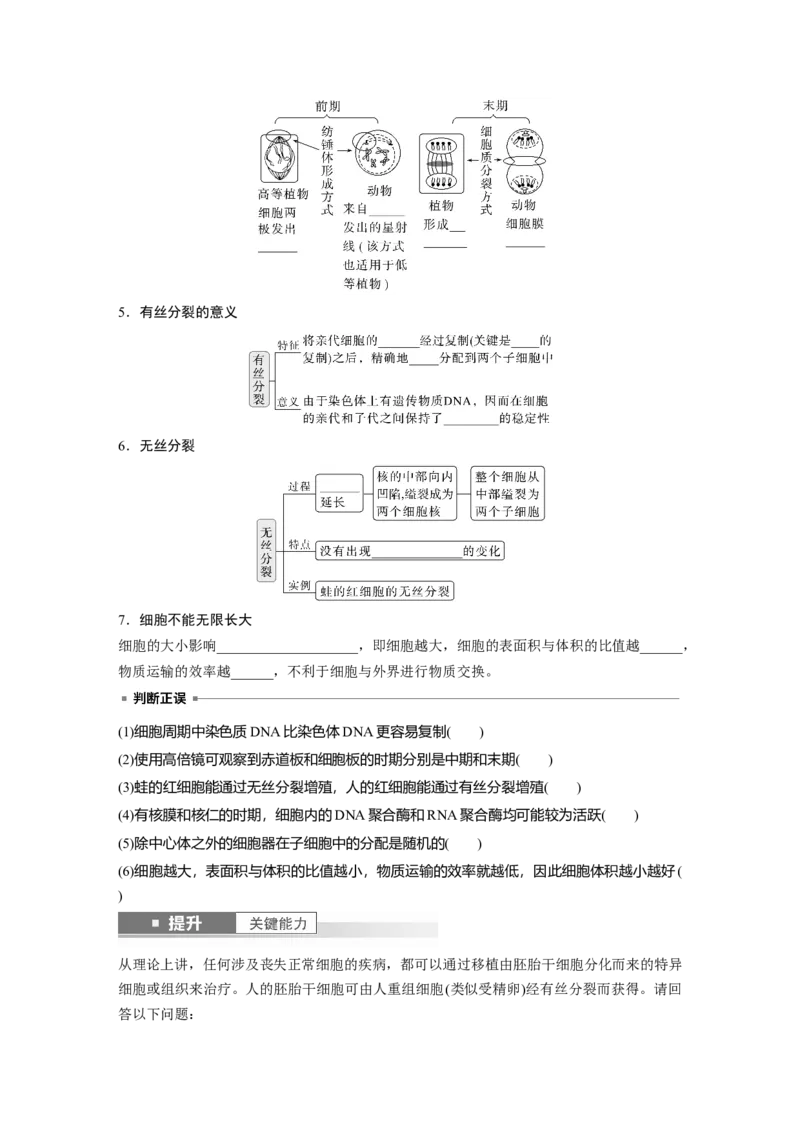 第四单元　第19课时　细胞的增殖_2025年新高考资料_一轮复习_2025大一轮复习讲义+课件（完结）_2025大一轮复习讲义生物学生用书Word版文档整书_2025大一轮复习讲义