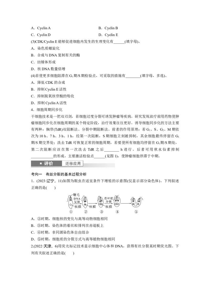 第四单元　第19课时　细胞的增殖_2025年新高考资料_一轮复习_2025大一轮复习讲义+课件（完结）_2025大一轮复习讲义生物学生用书Word版文档整书_2025大一轮复习讲义