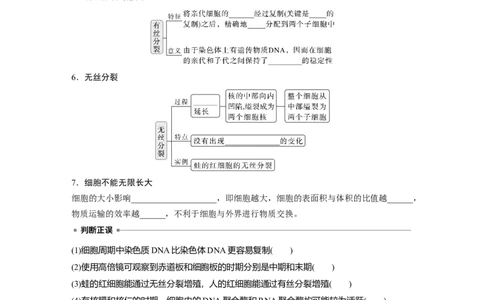 第四单元　第19课时　细胞的增殖_2025年新高考资料_一轮复习_2025大一轮复习讲义+课件（完结）_2025大一轮复习讲义生物学生用书Word版文档整书_2025大一轮复习讲义