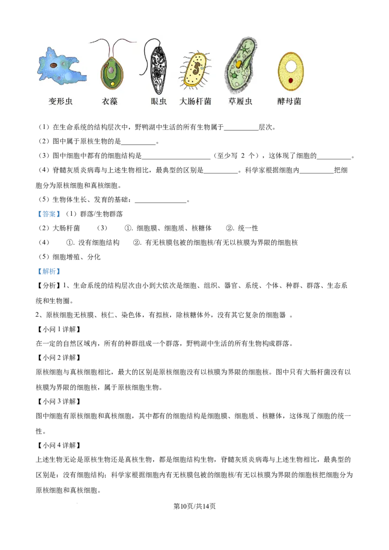 精品解析：吉林省通化市梅河口市第五中学2025-2026学年高一上学期10月月考生物试题（解析版）_2025年10月高一试卷