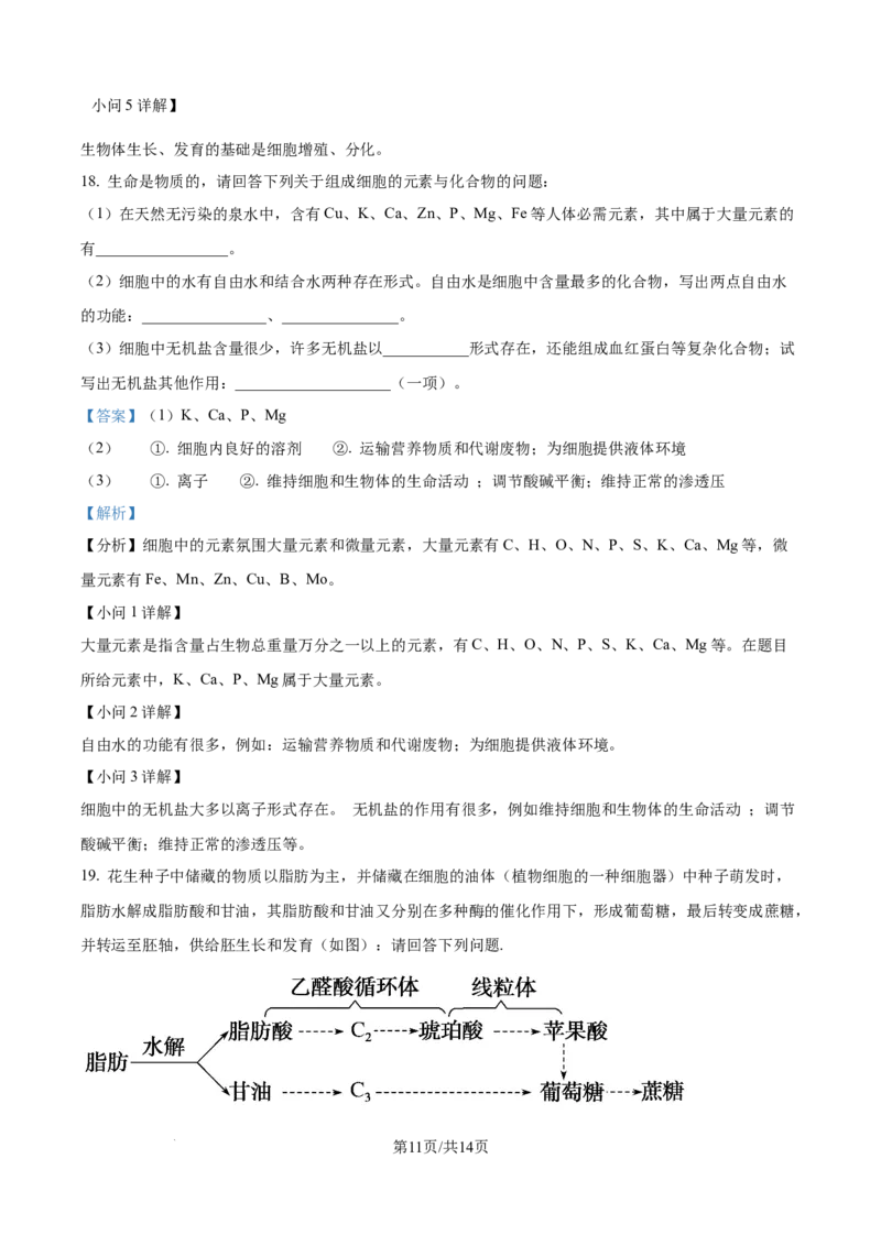 精品解析：吉林省通化市梅河口市第五中学2025-2026学年高一上学期10月月考生物试题（解析版）_2025年10月高一试卷