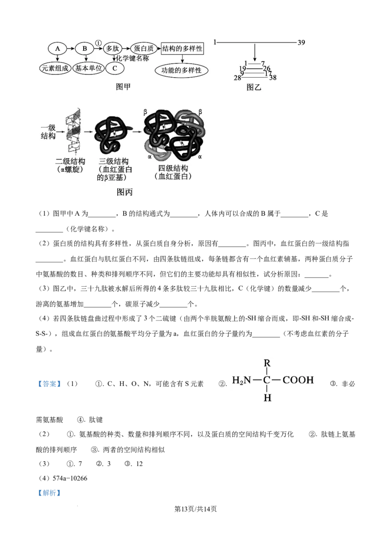 精品解析：吉林省通化市梅河口市第五中学2025-2026学年高一上学期10月月考生物试题（解析版）_2025年10月高一试卷