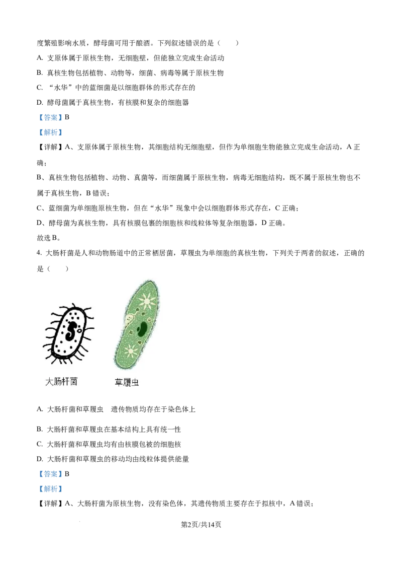 精品解析：吉林省通化市梅河口市第五中学2025-2026学年高一上学期10月月考生物试题（解析版）_2025年10月高一试卷