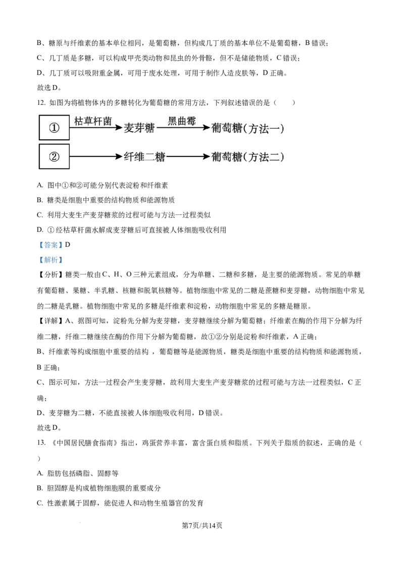 精品解析：吉林省通化市梅河口市第五中学2025-2026学年高一上学期10月月考生物试题（解析版）_2025年10月高一试卷
