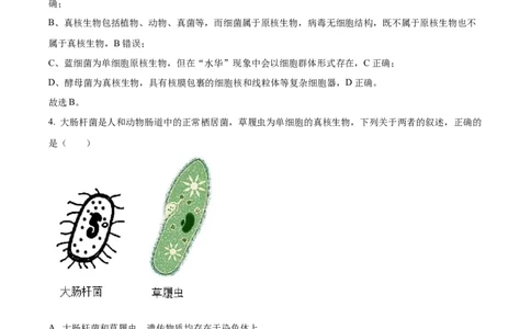精品解析：吉林省通化市梅河口市第五中学2025-2026学年高一上学期10月月考生物试题（解析版）_2025年10月高一试卷