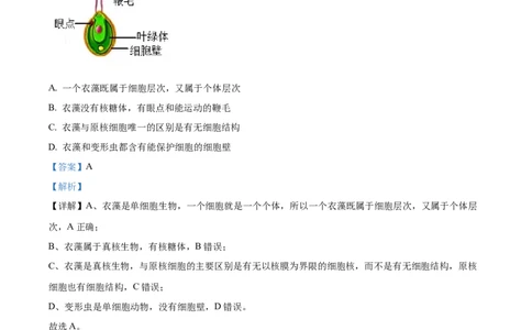 精品解析：吉林省通化市梅河口市第五中学2025-2026学年高一上学期10月月考生物试题（解析版）_2025年10月高一试卷