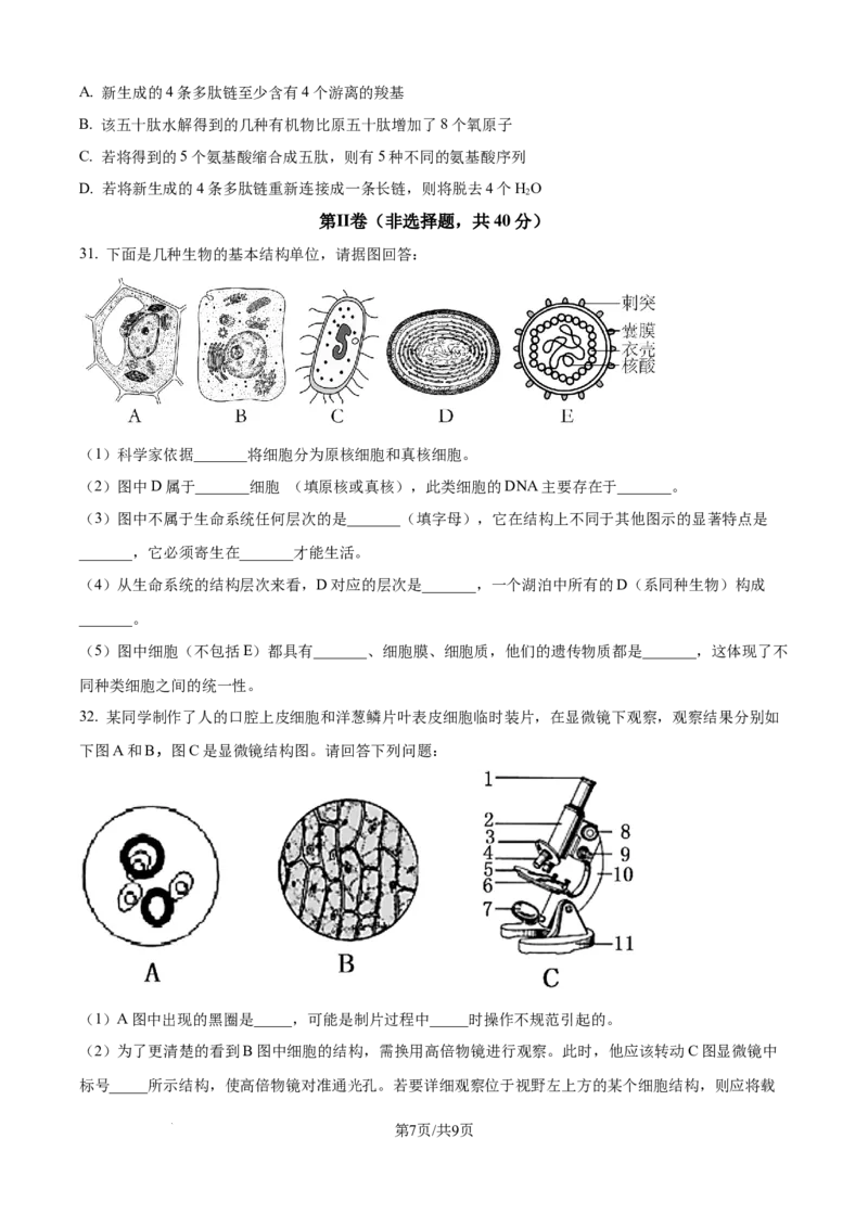 精品解析：四川省南充市嘉陵第一中学2025-2026学年高一上学期第二次月考生物试题（原卷版）_2025年11月高一试卷