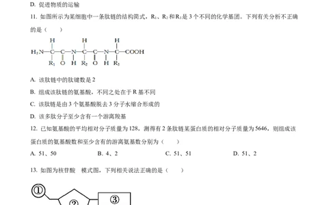 精品解析：四川省南充市嘉陵第一中学2025-2026学年高一上学期第二次月考生物试题（原卷版）_2025年11月高一试卷