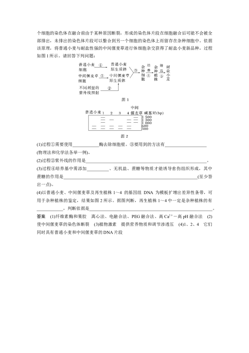 第十单元　第58课时　植物细胞工程_2025年新高考资料_一轮复习_2025大一轮复习讲义+课件（完结）_2025大一轮复习讲义生物教师用书Word版文档整书_配套Word版文档第七~十单元