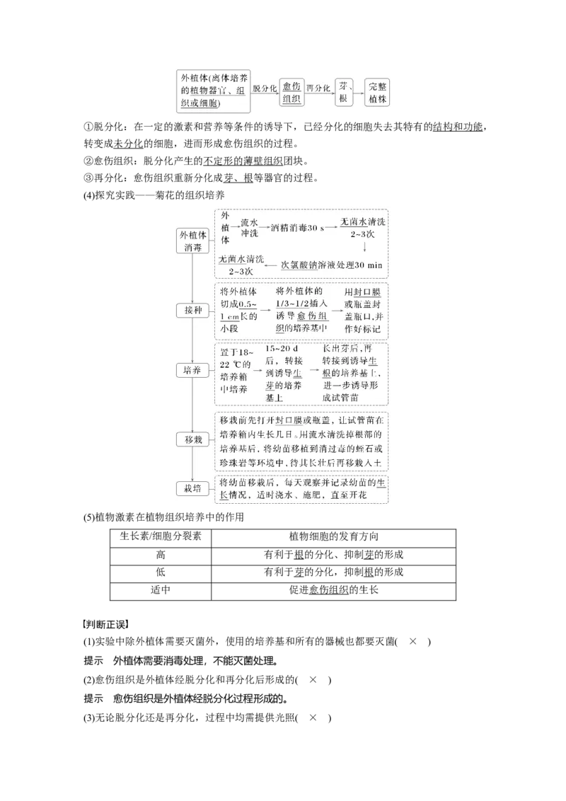 第十单元　第58课时　植物细胞工程_2025年新高考资料_一轮复习_2025大一轮复习讲义+课件（完结）_2025大一轮复习讲义生物教师用书Word版文档整书_配套Word版文档第七~十单元